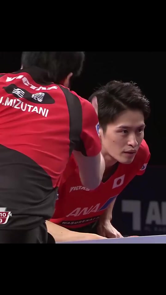 比利时乒乓球队轻取波兰乒乓球队,许昕送出助攻的简单介绍 比利时乒乓球队轻取波兰乒乓球队,许昕送出助攻的简单介绍