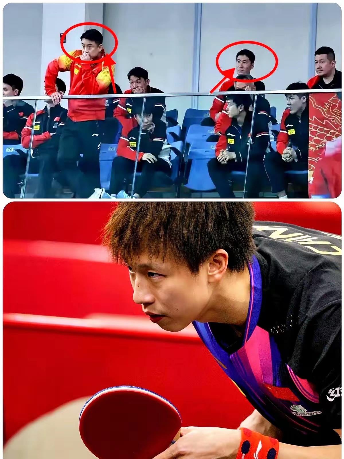 英国乒乓球队爆冷瑞典乒乓球队，王皓一己之力扛起全队的简单介绍