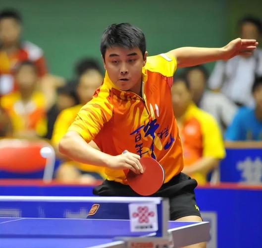 法国队翻盘奥地利队，王皓扛起全队的简单介绍